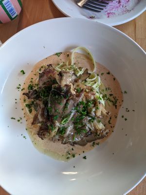 Oyster mushrooms on a zesty zucchini bed. at St. Elsewhere in Ottawa