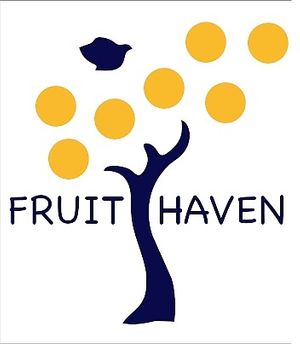  at Fruit Haven Ecovillage in Gualaquiza