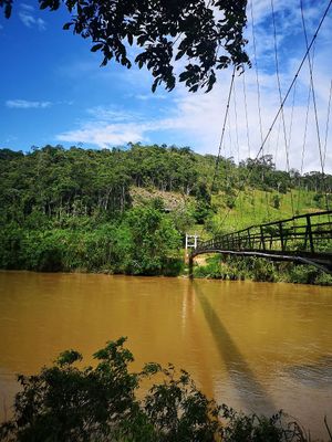  at Fruit Haven Ecovillage in Gualaquiza