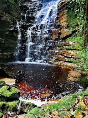  at Fruit Haven Ecovillage in Gualaquiza