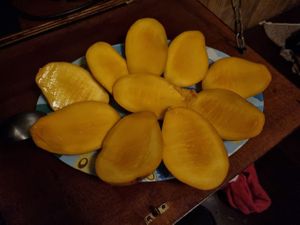  at Fruit Haven Ecovillage in Gualaquiza