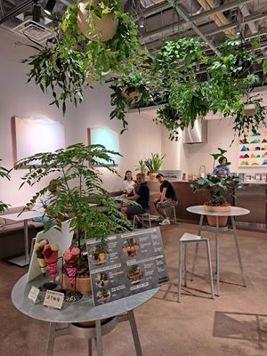  at (thisis)shizen in Kyoto