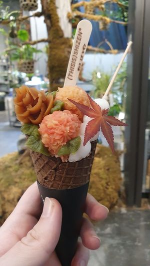  at (thisis)shizen in Kyoto