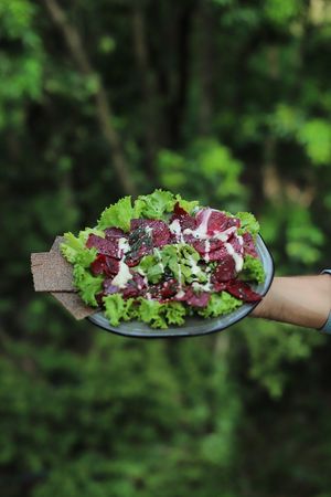 Beetroot carpaccio  at Shivari - Healing Center & Vegan Restaurant in Koh Phangan