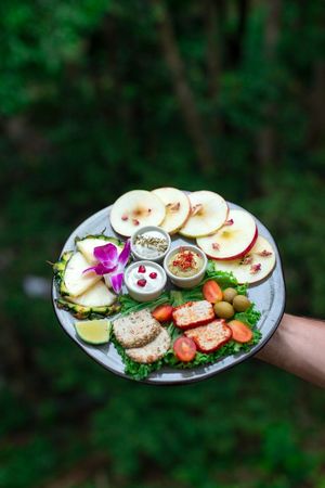 Raw vegan cheese plate  at Shivari - Healing Center & Vegan Restaurant in Koh Phangan