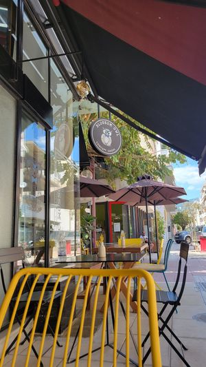  at Blossom Owl in Kalamata