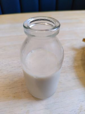 Oat milk (November 2024) at Coliseum Coffee House in Ceredigion