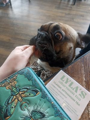  at Lyla Belle's Cafe in Hartlepool