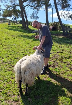 Hello  at Ananda Animal Sanctuary  in Lanark