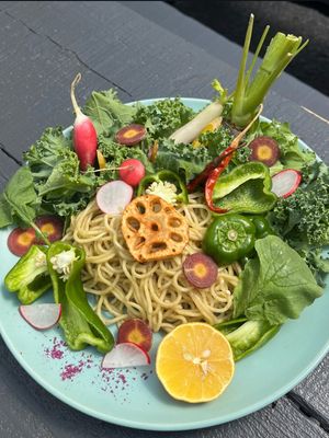 Summer TanTanmen without soup at Tokyo Vegan Ramen Center in Tokyo