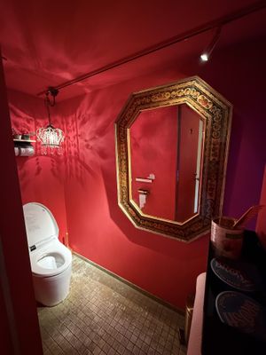 The restroom at Tokyo Vegan Ramen Center is sensual and cinematic🚽🚽🚽  at Tokyo Vegan Ramen Center in Tokyo