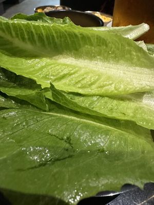 Lettuce wraps   at Master Kim's Korean BBQ 2 in Las Vegas