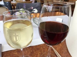 vegan regional red and white wine at Die Weinstube Nachhaltig Geniessen in Zeltingen