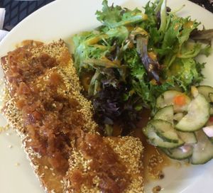 Sesame encrusted tofu with orange, ginger, and soy glaze at Whiptail Grill in Springdale