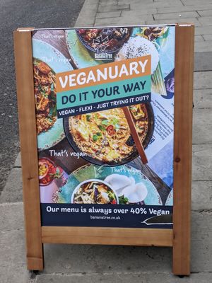 Veganuary at Banana Tree in Bath