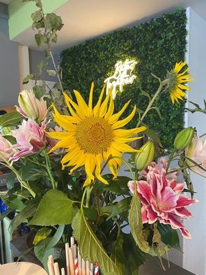  at Crepeway in Geneva