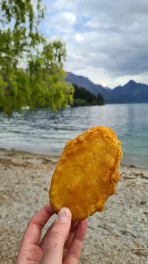  at Erik's Fish & Chips in Queenstown