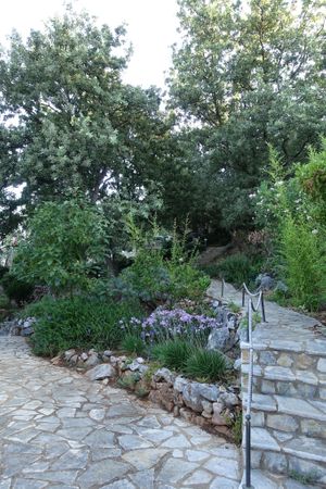Garden at Bio Hotel Mani Sonnenlink in Kalamata
