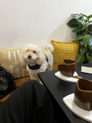   at Natury in Barcelona