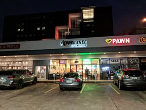 Exterior, showing the sign above. at Pepper Tree Veggie Cuisine in Houston