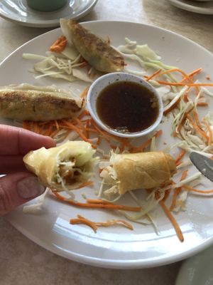 Anatomy of a spring roll :) at Pepper Tree Veggie Cuisine in Houston