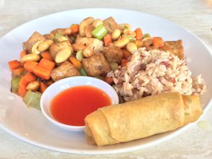 Kung Pao Tofu at Pepper Tree Veggie Cuisine in Houston