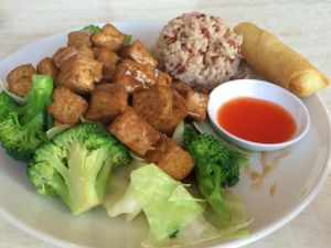 Broccoli and Tofu Dish at Pepper Tree Veggie Cuisine in Houston