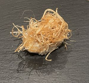 Sushi with onion on topp  at veggie tempo & sushi in Tokyo