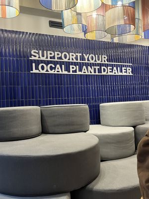   at Mora Mora Colima   in Mexico City