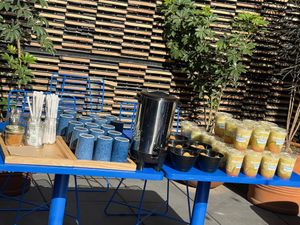  at Mora Mora Colima   in Mexico City