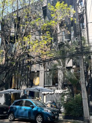  at Mora Mora Colima   in Mexico City