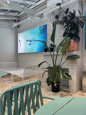   at COCOLO in Hawthorn