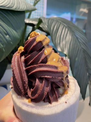   at COCOLO in Hawthorn