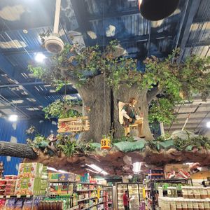  at Jungle Jim's International Market in Fairfield