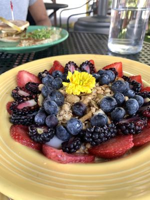 Granola bowl🌻  at The Grain Cafe in Los Angeles