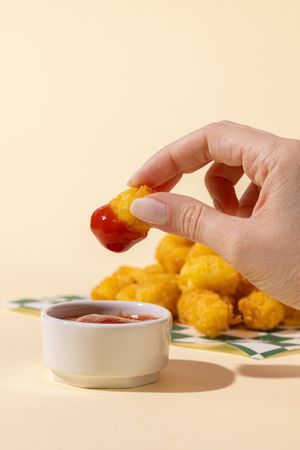 Tater Tots at Neat Burger - Merlata Bloom in Milan