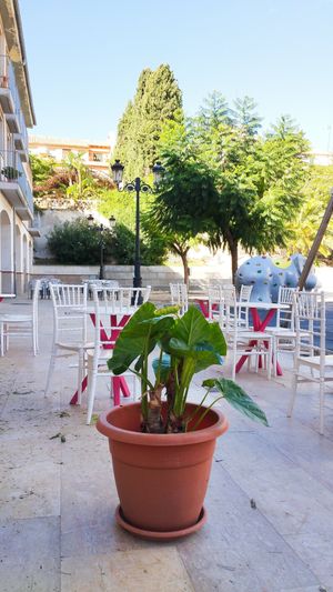 Part de la terrassa at El Rinconcito de Elena in Altafulla