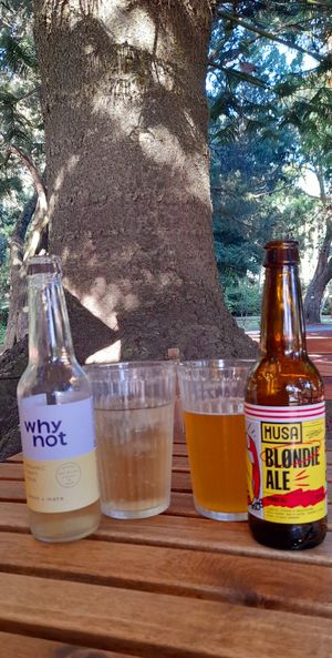 Why Not drink is VEGAN! at Jardim Natural Food in Sao Miguel