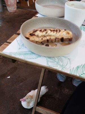 Peanut butter and banana toast with baby bird at Jardim Natural Food in Sao Miguel