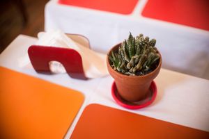 - at Punto Mercado Holistico in Rosario