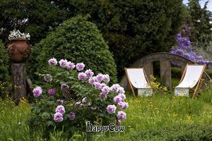 The garden at Bio BnB Villa Medicea Lappeggi in Florence