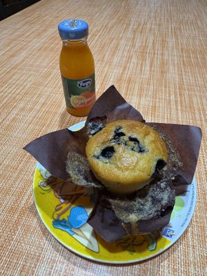 Muffin ai mirtilli  at Radici Bakery in Santangelo In Villa-giglio