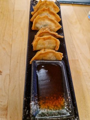 Fried Gyoza at NORI | Vegan Sushi - Wok in Rotterdam