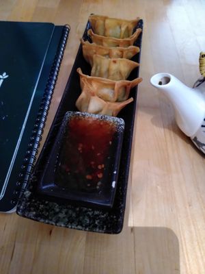 Fried gyoza at NORI | Vegan Sushi - Wok in Rotterdam