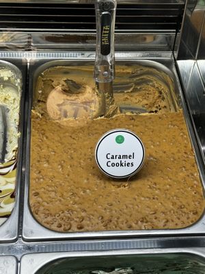 Excellent vegan flavor!  at Anita Gelato - Condado in San Juan
