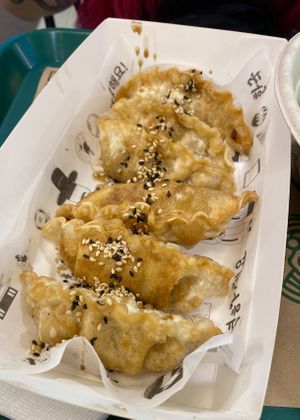 Kimchi mandu  at Bibimpop  in Santiago