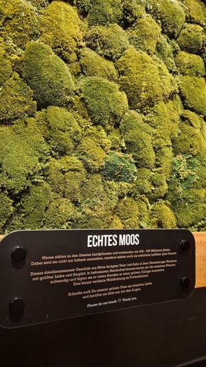 They had amazing live plant decoration. at Frittenwerk - Karmarschstraße in Hannover