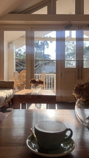 Capuccino and interior  at Isle of Gelato - Ella in Ella