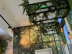 inside  at Immergrün in Ulm