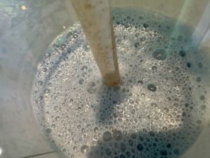 smoothie  at Immergrün in Ulm